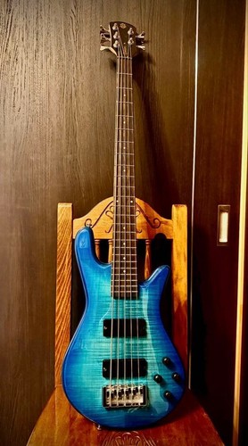 Color Spector 5 String Bass Legend