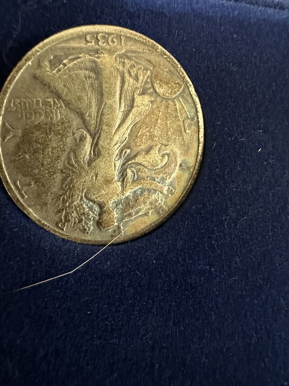 Picture 6 of 20
