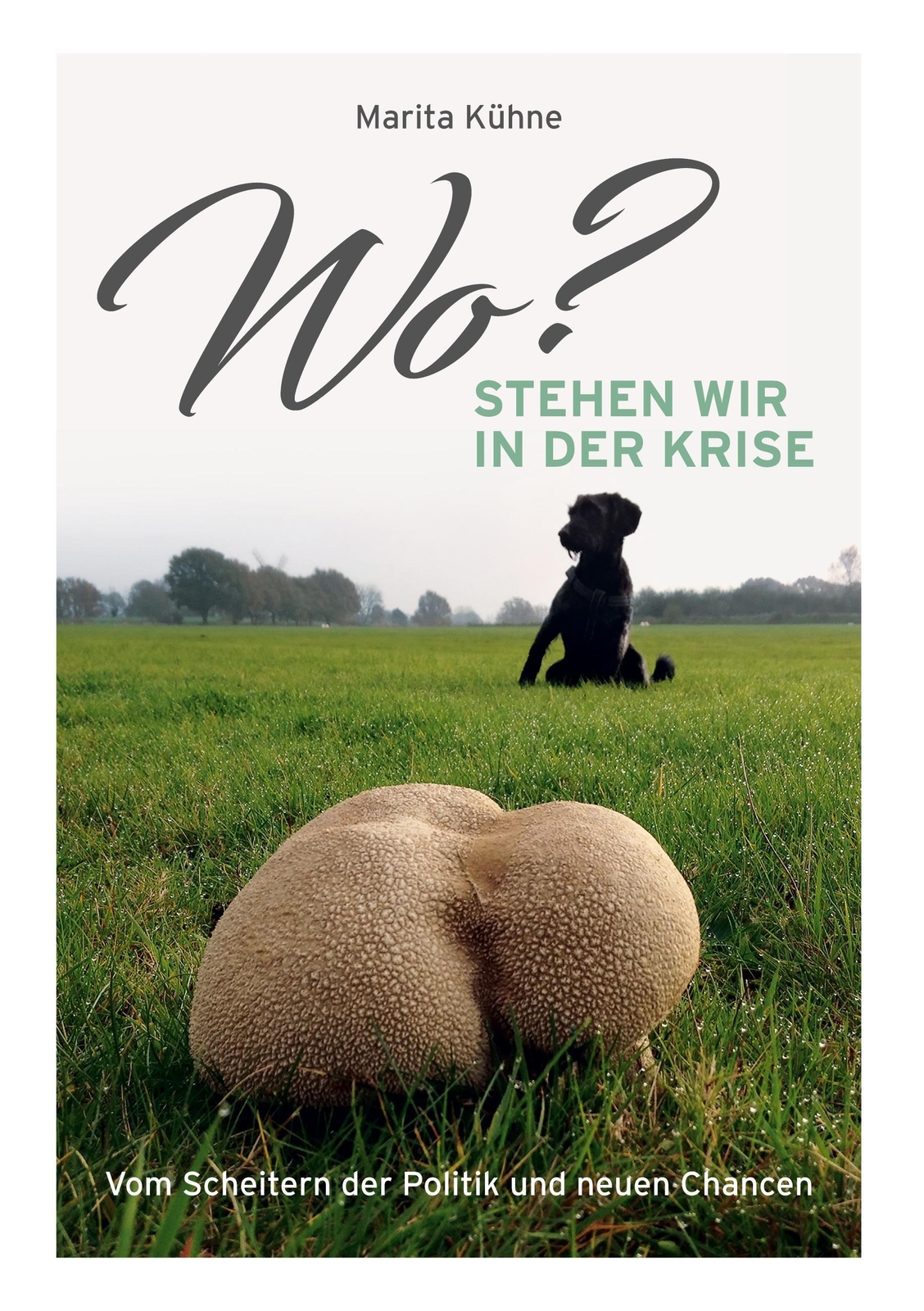 Thumbnail - Wo? Stehen Wir In Der Krise Vom Scheitern Der Politik Und Neuen