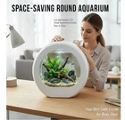 1.5 Gallon Fish Tank Kit with 7-Color LED & Quiet Filter, HD Glass Desktop...