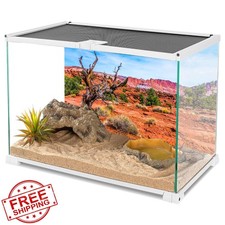 AWERT Reptile Habitat Background 48x24in Blue Sky Orange Desert