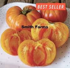 50 Seeds Pineapple Tomato Hybrid Vegetable Garden Planting Tomatoe USA