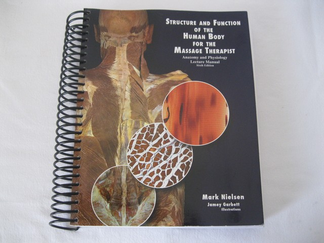 Structure And Function Human Body Mark Nielsen Spiral Lecture Manual 6th For Sale Online Ebay - 