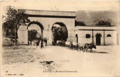 CPA AK ALGERIA Geiser 14 TENES Portes d'ORLÉANSVILLE (756169)