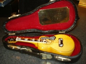 fame guitar case