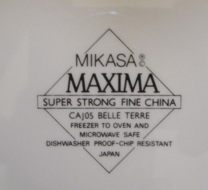 Mikasa Maxima CAJ05 Belle Terre 15 Pc Dinnerware Set
