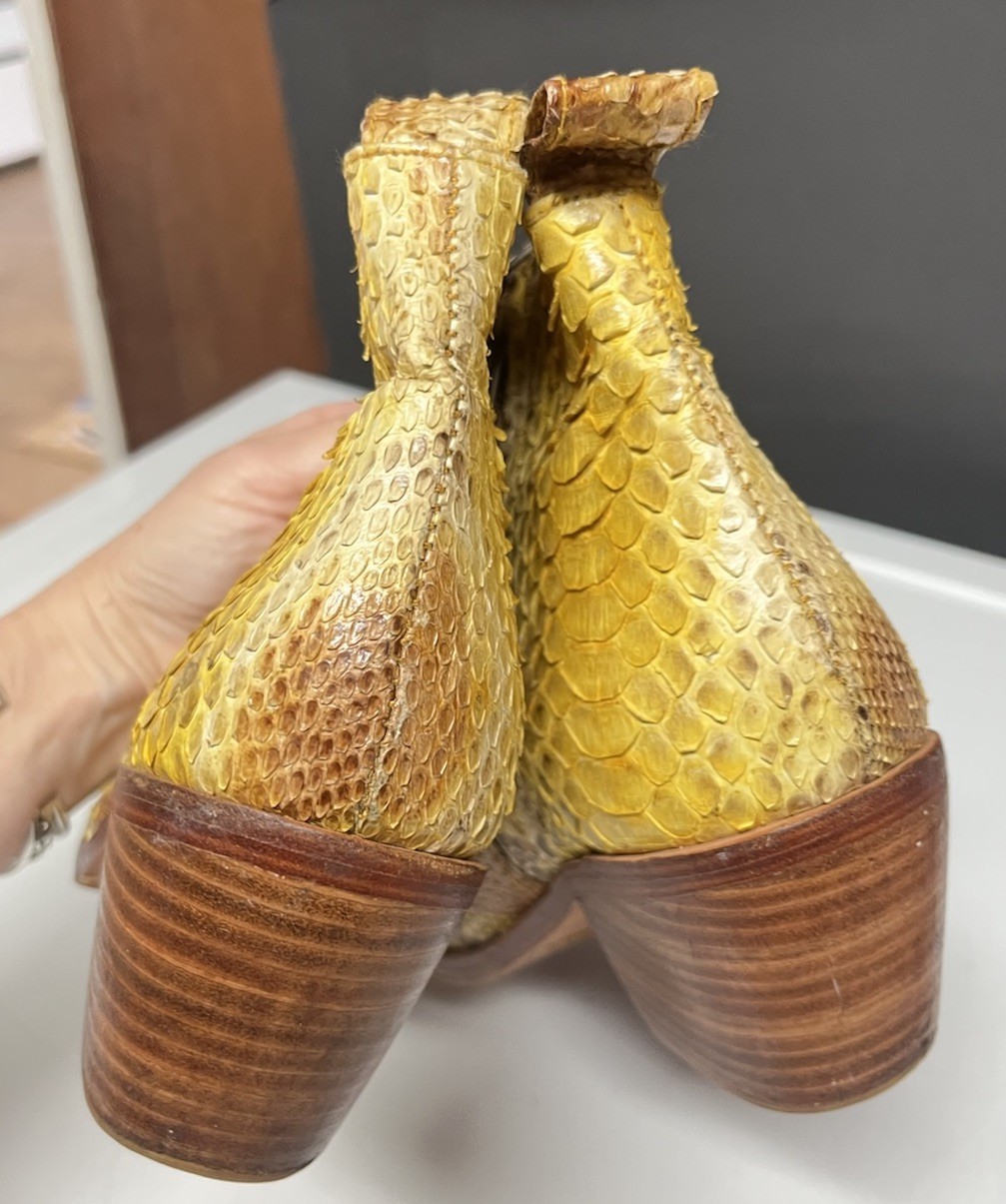 $220 Wandering Coyote Real Snake Python Bright Ye… - image 8