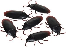 Lot of 12 Fake Rubber Cockroaches - Gag Joke