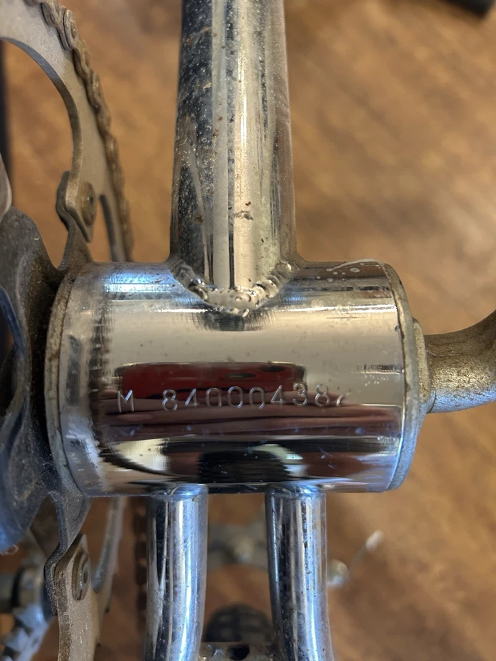 OG Survivor MT The Fox - Image 2 of 4