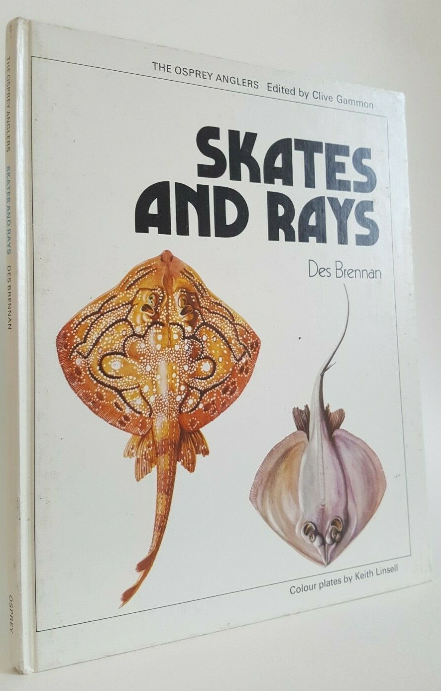 HARDBACK Skates and Rays Des Brennan Osprey Anglers sea fishing saltwater book