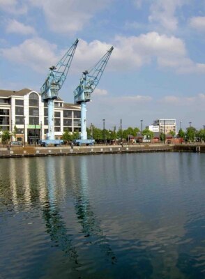 Foto 6x4 Die zwei Kraniche Salford Kais Salford\/SJ8098 Jetzt brauchen sie eine r c2008