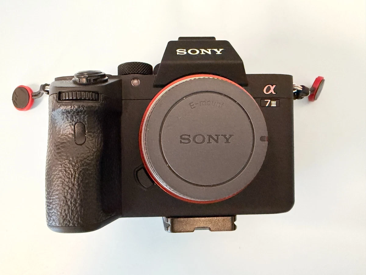 Sony A7III Digital Cameras for Sale - Shop New & Used Digital