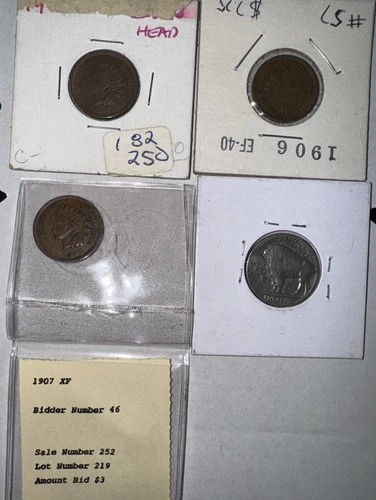 4 Coin Lot 3 Indian   Head Cents 2-  1907, 1-1906 Fine  1- 1937-D Buffalo 5 Cent