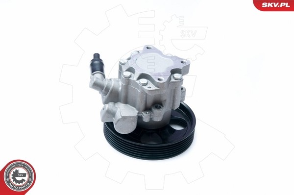 Esen Skv 10SKV073 Hydraulikpumpe, Lenkung FüR CitroËN,Fiat,Peugeot-image