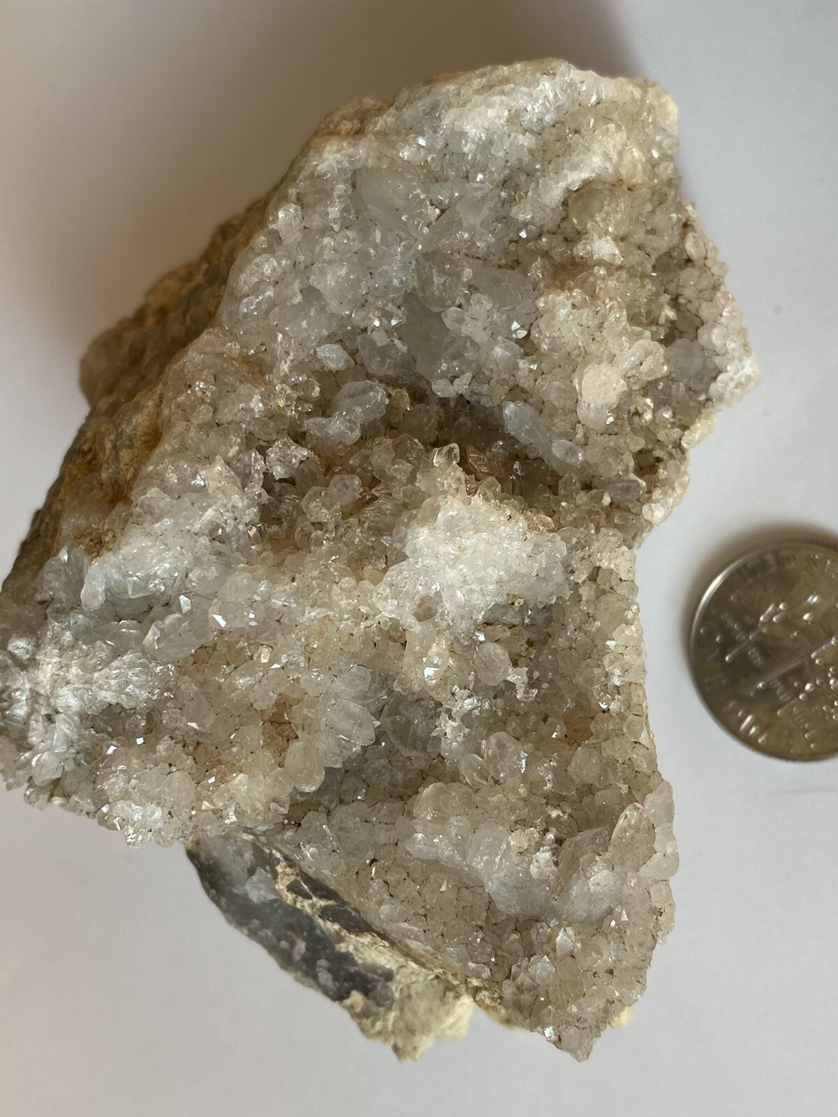 Picture 5 of 12