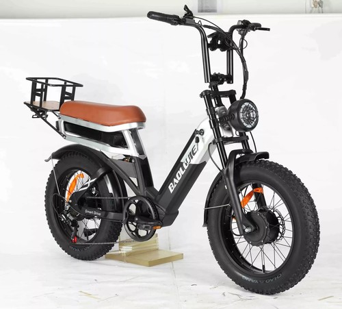 Doppelmotor E Bike 20 Zoll 2000W Elektrofahrrad 48V 30Ah Abnehmbarer Akku Schwar - Bild 9 von 10