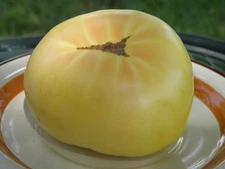 Vincent's White - J&L Garden's exclusive white tomato