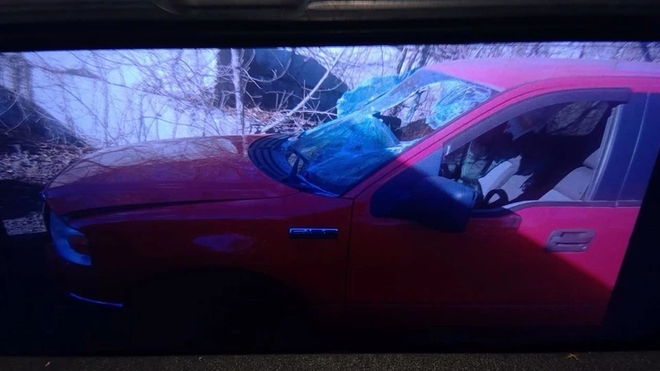 Alternador 8-280 para camioneta Ford F150 04-08 6414939 Foto 2 de 4