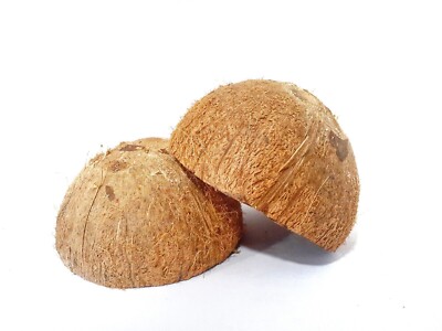 Coconut Shell Bowl Halves Eco Friendly Pure Natural Organic 100% Handmade Ceylon