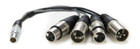 Atomos 10-pinowy kabel LEMO typu do XLR Breakout do Shoguna - dobry stan