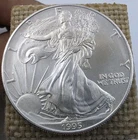 Beautiful Toned - 1995 American Silver Eagle 1 Troy Oz .999 Fine Silver