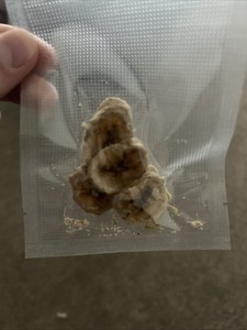 4.5 Authentic Banana Chips