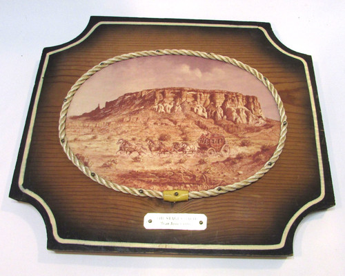 Western Stagecoach 7x9 Oval Rope Framed Canvas Print on 11x13 Pine Wood Plaque