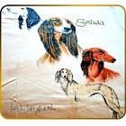 Saluki T-shirt Size Med 38/40 White