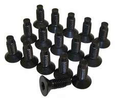 Windshield Hinge Screw-Torx Screw Kit Crown 6035757K