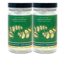 2 BATH  BODY WORKS AROMATHERAPY EUCALYPTUS SPEARMINT SHOWER STEAMERS 4.8 OZ NEW