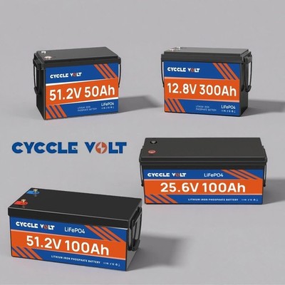 Lithium Batterie 100AH/300Ah 12V 24V 48V LiFePO4 Akku BMS Wohnmobil Solaranlage