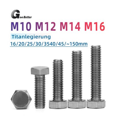 Titanschraube M10 M12 M14 M16 Sechskantschrauben Außensechskant Gewinde Grade 2