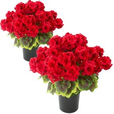 2 Pcs Geranium Potted Artificial Flowers, 19" Fake Geraniums Plants UV Resist...
