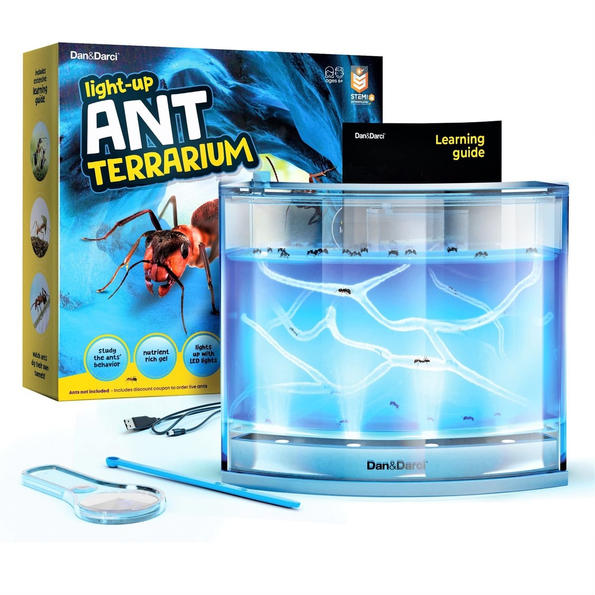 Dan&Darci Light-up Ant Farm Terrarium Kit for Kids – LED Habitat