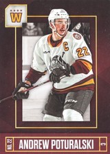 2021/22 Chicago Wolves - ANDREW POTURALSKI