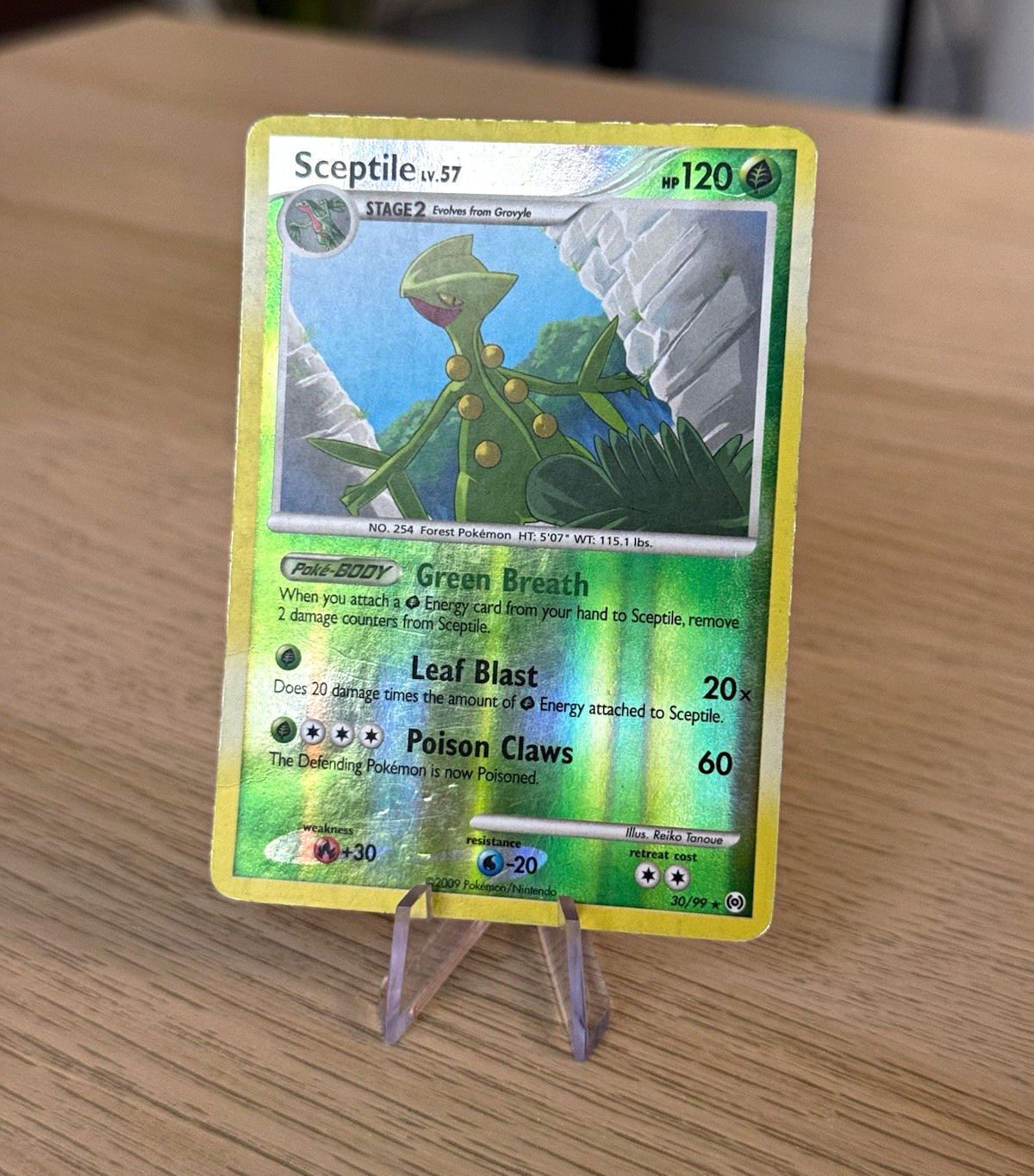 Pokemon - Sceptile 30/99 - Reverse Holo Rare - Arceus - MP/HP