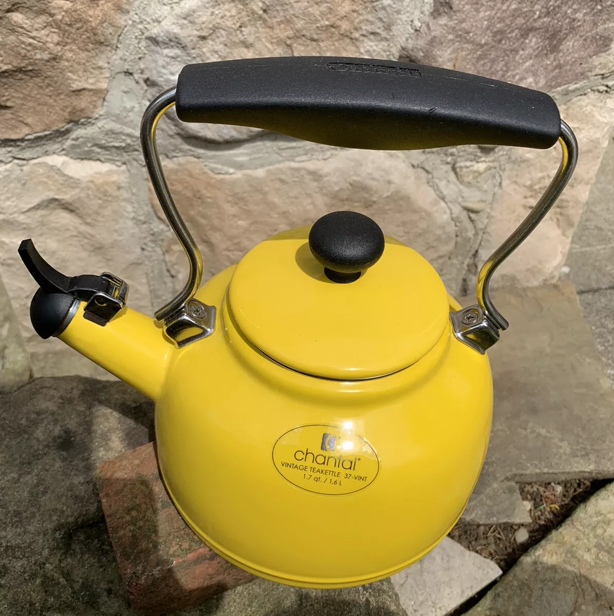 Chantal enamel tea best sale kettle