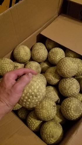 6 Dozen 72 Count Used Softball Sized (12 inch) Dimple Pitching Machine Balls 
