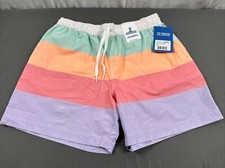 NWT  Defect Chubbies The Flavor Savers 5.5  Classic Swim Trunks Large