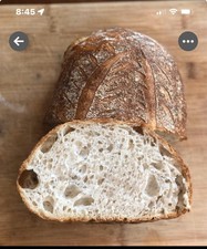 San Francisco Sourdough Starter Verified Heritage 236yrs Old Best Seller