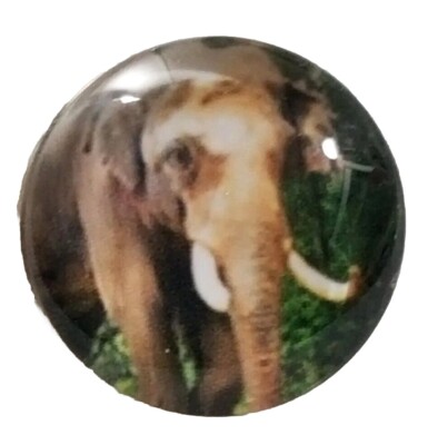 ELEPHANT 18mm/20mm GINGER SNAP BUTTON POPPER FOR INTERCHANGEABLE JEWELRY #2