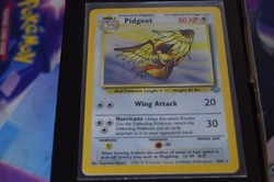 Pidgeot 8/64 Holo Rare Jungle Pokémon TCG