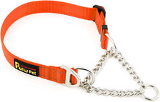 Martingale Dog Collar with Stainless Steel Chain and Reflective Nylon, Adjustabl