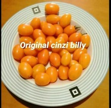 25 semi pomodoro datterino arancione ( semi italiani bío. )