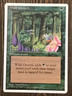 MTG - Magic the Gathering -  Fourth Edition (1995) - Wild Growth