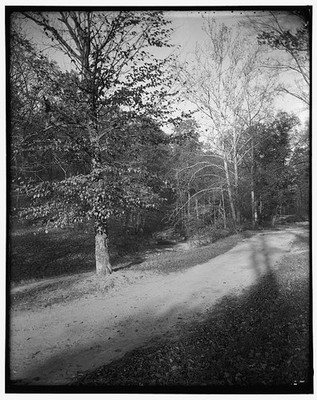 Rock Creek Park,Washington,DC,District of Columbia,c1915,Harris & Ewing,2