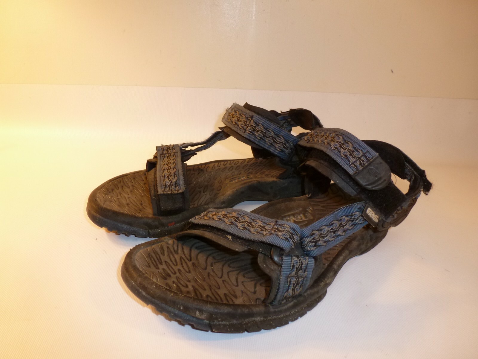 teva spider