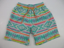 Mens Small Chubbies 7" swim trunks shorts southwestern lined pastel