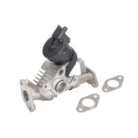 AGR Ventil Hella 6NU 014 864-981