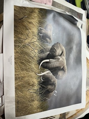Charles Frace POWER OF THE SERENGETI Signed & Numbered w/coa Elephant Art Print